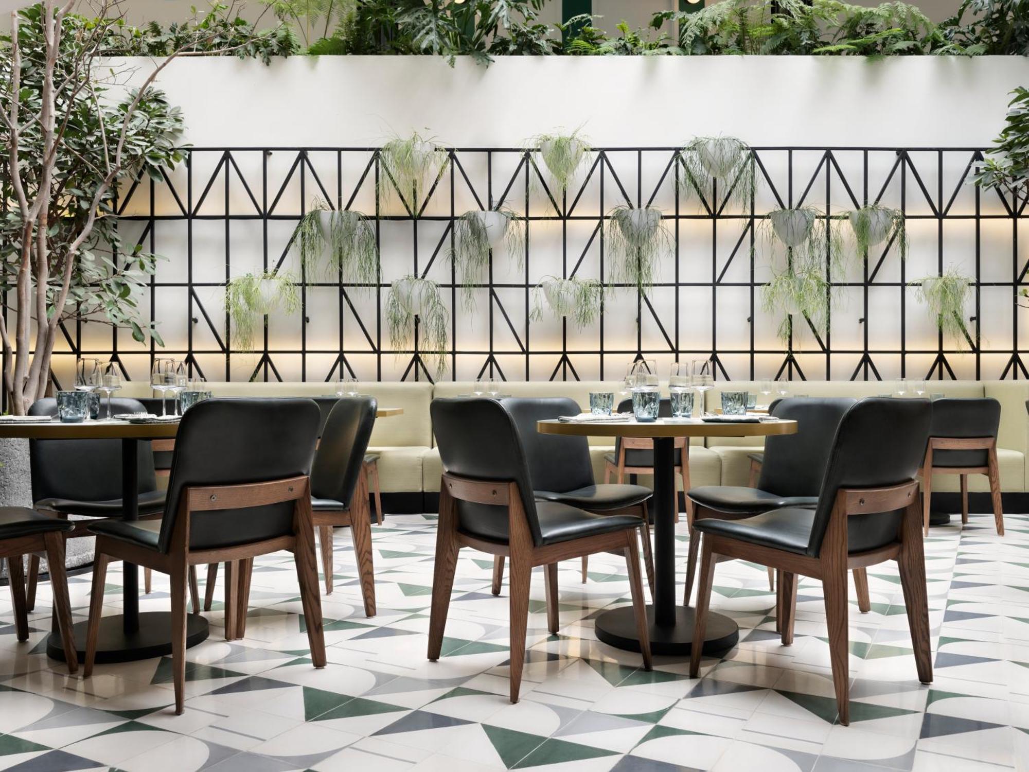 Hotel Kimpton Virgilio By Ihg Ciudad de México Exteriér fotografie