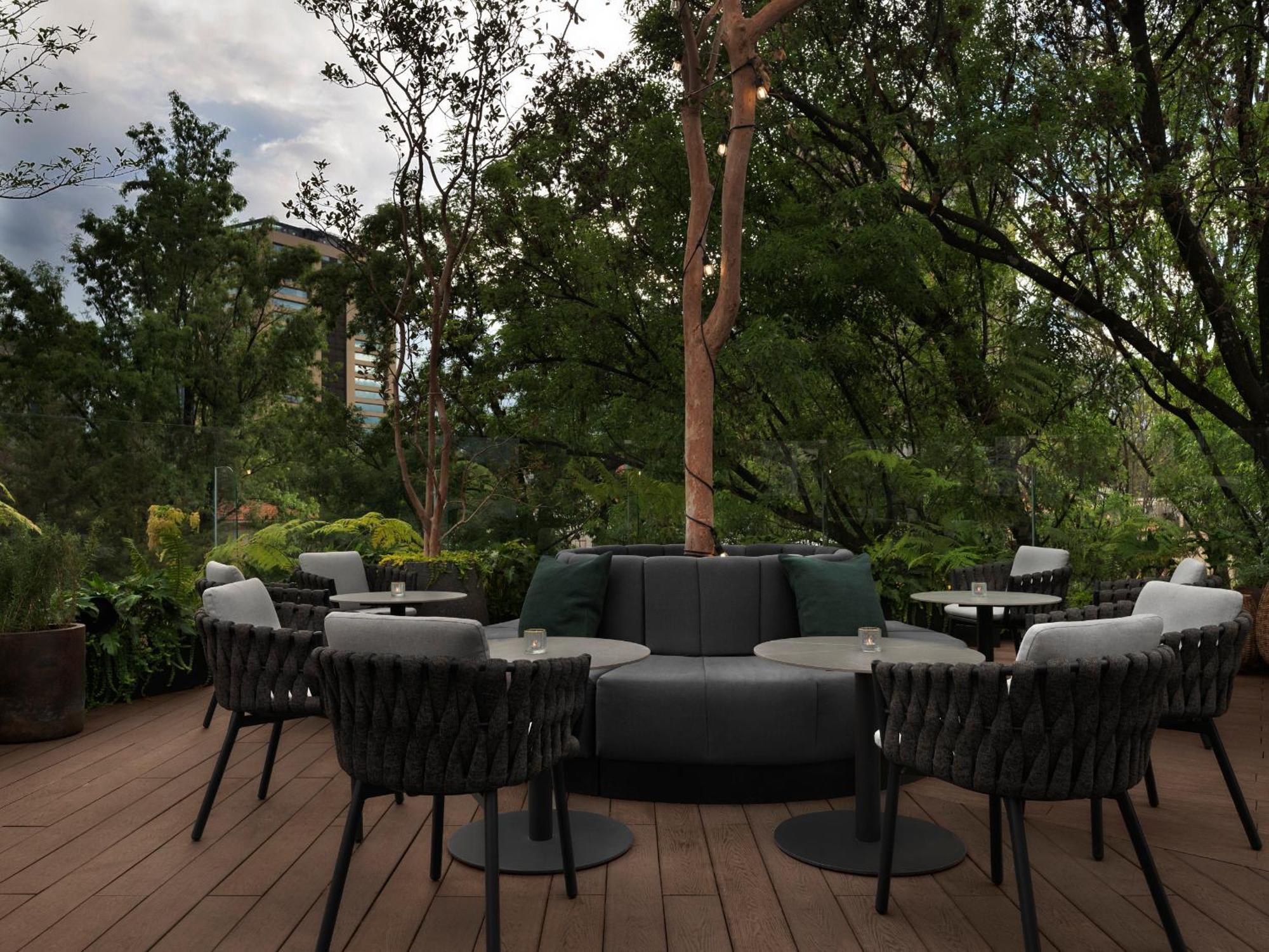 Hotel Kimpton Virgilio By Ihg Ciudad de México Exteriér fotografie