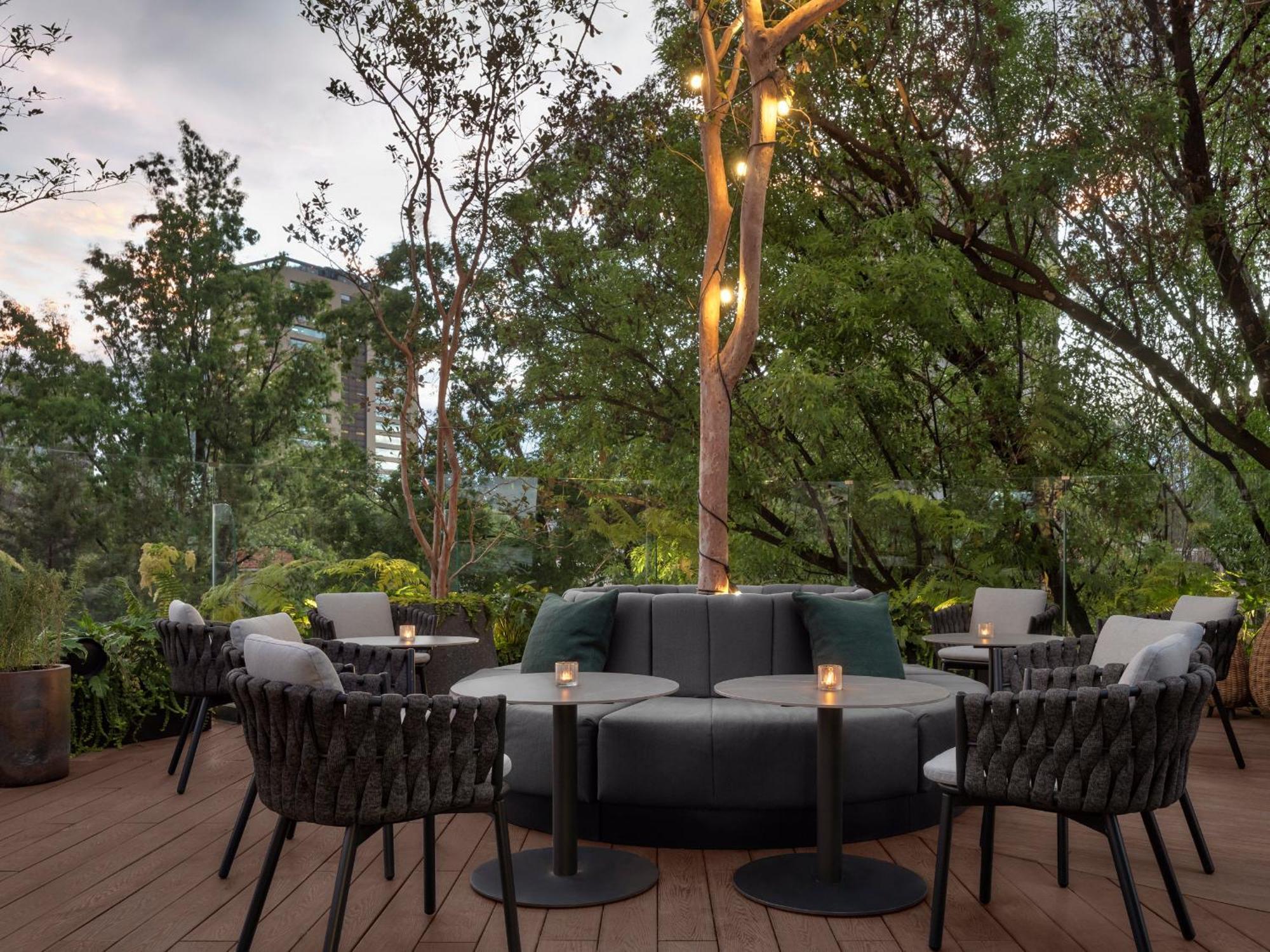 Hotel Kimpton Virgilio By Ihg Ciudad de México Exteriér fotografie